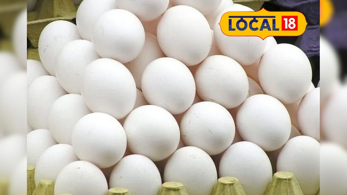 “முட்டை பிரியர்களுக்கு ஷாக் நியூஸ்” - முட்டை விலை உயர்வு... ஒரு முட்டையில் விலை என்ன..? – News18 தமிழ்