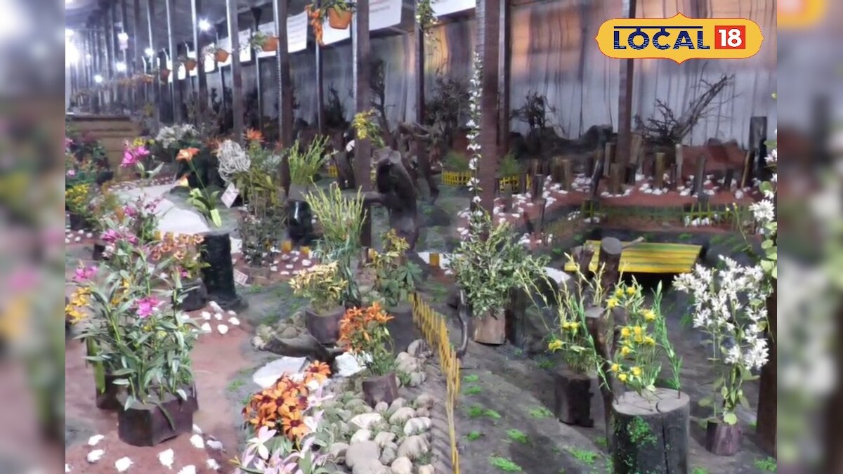 Thread Garden: மணக்காத மலர் தோட்டம்... 6 கோடி மீட்டர் நூலில் உருவான அற்புதம்... – News18 தமிழ்