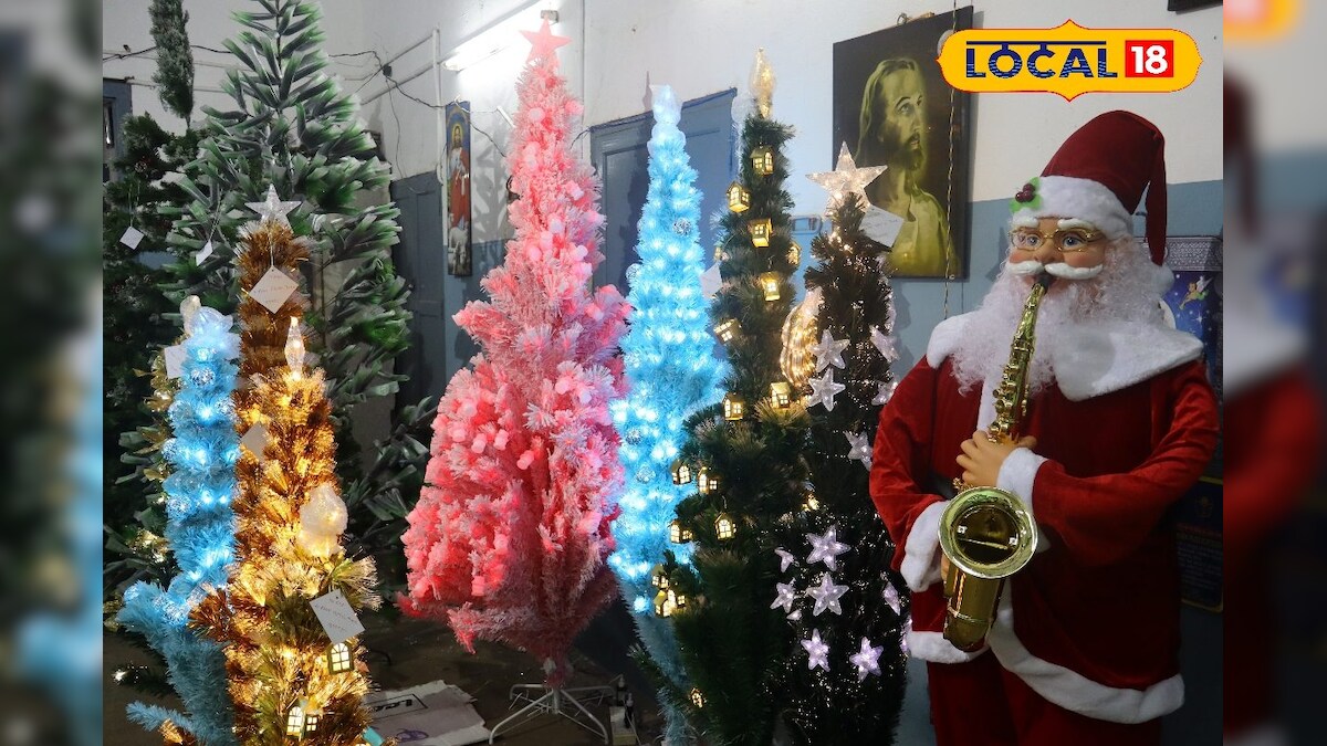 கிறிஸ்துமஸ் பண்டிகை 2024 : என்னென்ன புதுவிதமான பொருட்கள் வந்துள்ளது தெரியுமா?  – News18 தமிழ்