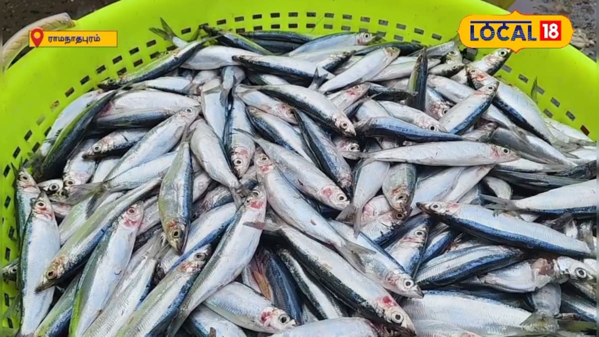 வாரம் இருமுறை  மட்டும் இந்த மீனை மட்டும் சாப்பிடுங்க... முடி உதிர்வு பிரச்சனைக்கு தீர்வு