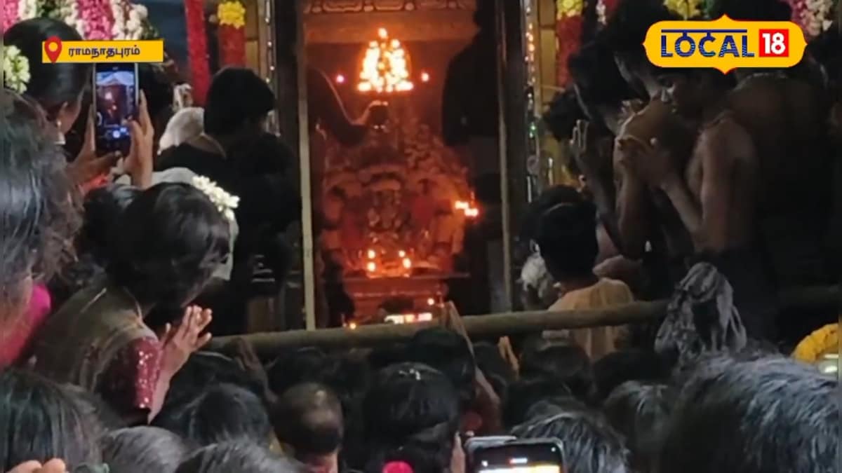 வல்லப்பை ஐயப்பன் கோவிலில் மண்டல பூஜை... உடல் முழுவதும் வர்ண பூசி ஆடிய ஐயப்ப பக்தர்கள்..