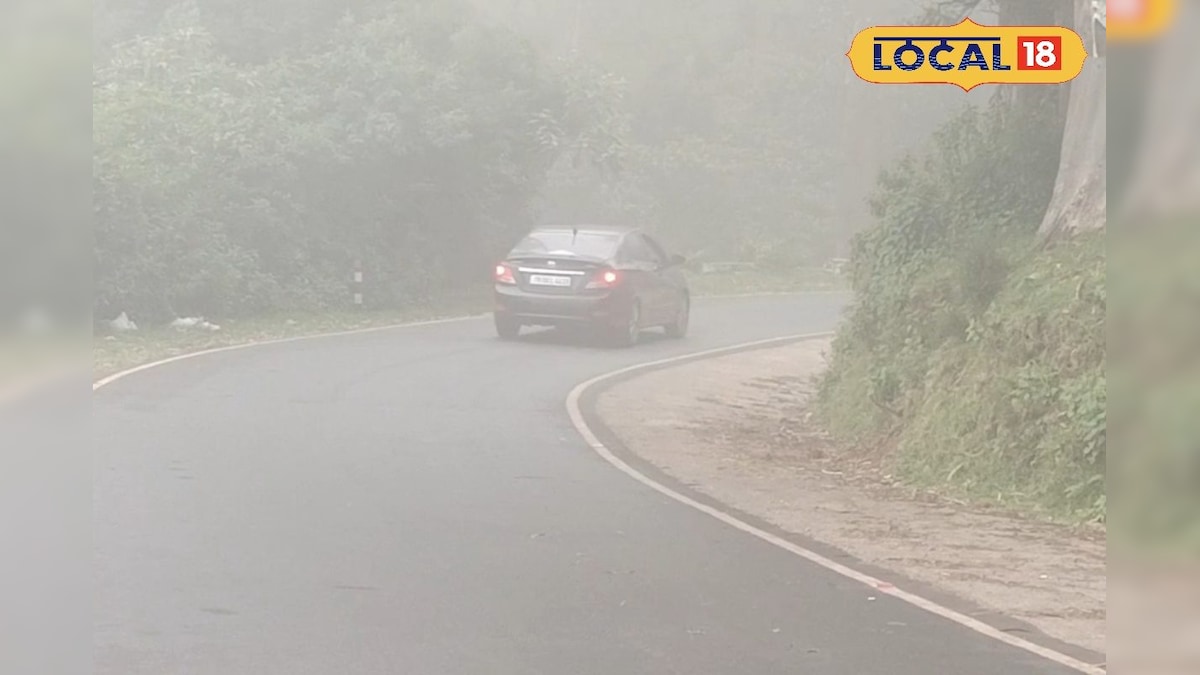 சொர்க்கத்துக்கே வந்த மாதிரி பனி மூட்டம்... ஜோடியாகச் சுற்றிப் பார்த்து மகிழும் பயணிகள்...