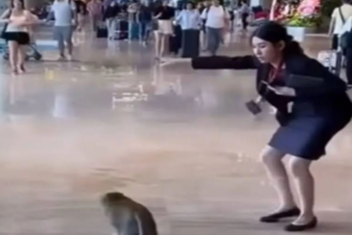 महिला कर्मचारियों को विनम्रता से बाहर निकालने का वीडियो वायरल…! – न्यूज18 तमिल महिला कर्मचारियों को विनम्रता से बाहर निकालने का वीडियो वायरल…! – न्यूज18 तमिल