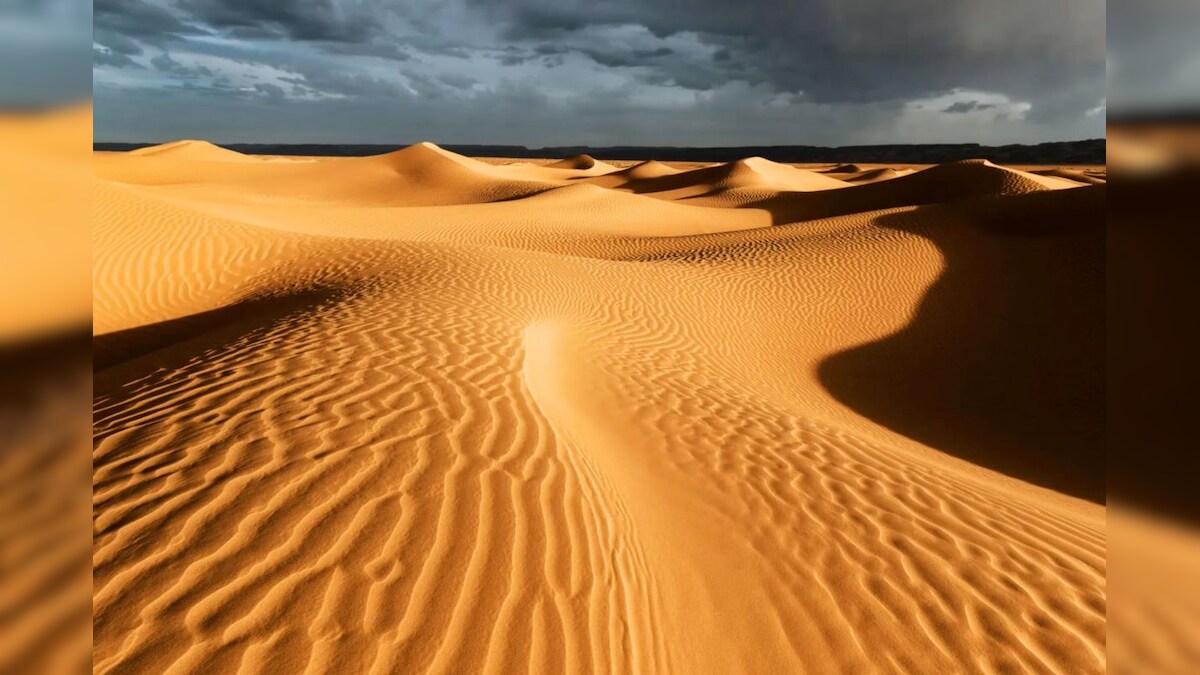 “உலகின் மிகப்பெரிய பாலைவனம் சஹாரா இல்லை” - கூகுளின் பதிலால் குழப்பத்தில் மக்கள் – News18 தமிழ்