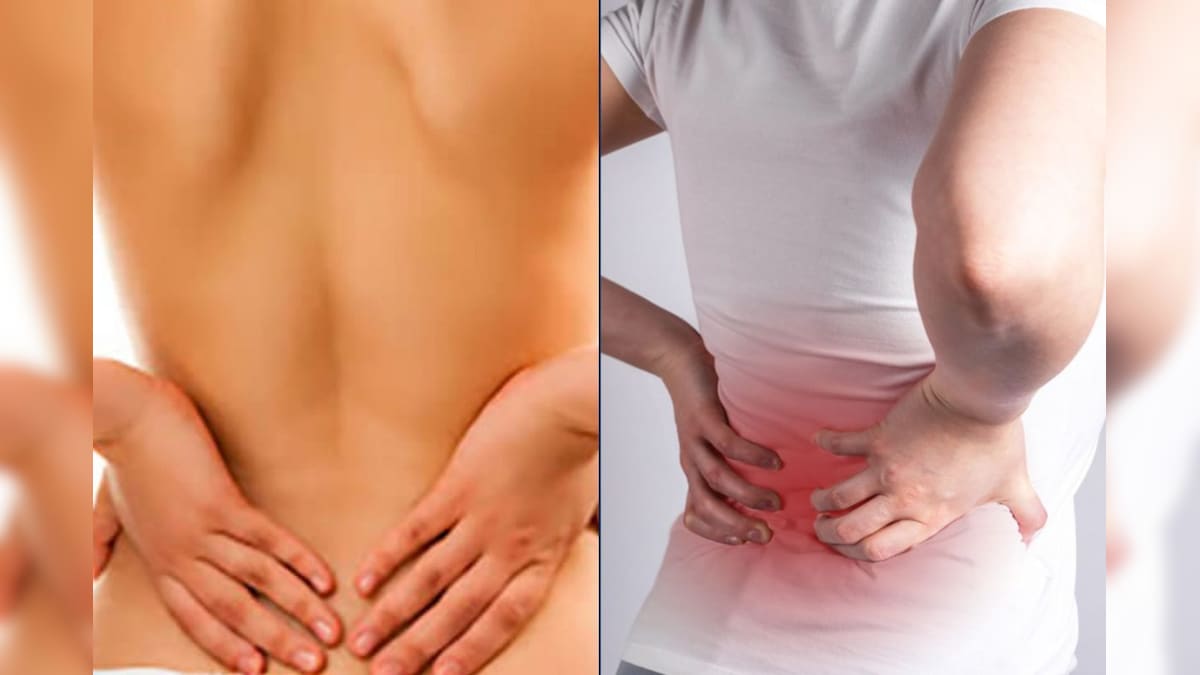 Back Pain: முதுகு வலியால் அவதியா? இந்த 5 டிப்ஸ்களை ட்ரை பண்ணுங்க! - News18 தமிழ்