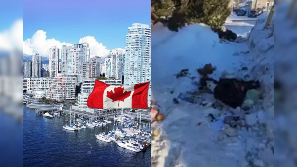 கனடாவில் இந்திய மாணவர்கள் செய்த செயல்... குமுறும் நெட்டிசன்கள்... என்ன நடந்தது?