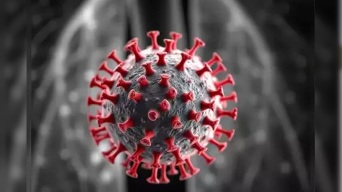 “அச்சப்பட வேண்டாம்.. உருமாறிய HMPV வகை தொற்று தமிழ்நாட்டில் இல்லை” - தமிழ்நாடு மருத்துவத்துறை