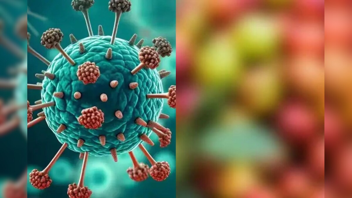 HMPV Virus Foods: எச்.எம்.பி.வி. வைரஸ் பாதிக்காமல் இருக்க இந்த உணவுகளை சாப்பிடலாம்.. என்னென்ன தெரியுமா?