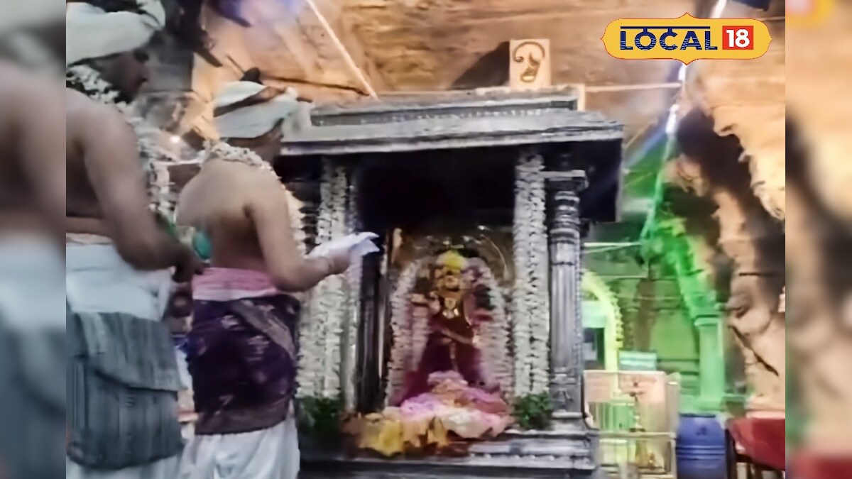 கோவில் கணக்கு பார்த்த சங்கரநாராயணர்.... திருவாதிரை திருவிழா நிகழ்வு...