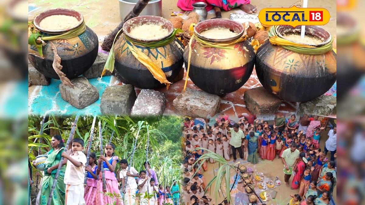 பொங்கலோ பொங்கல்..! ஒரு கிராமமே இணைந்து அரசு பள்ளியில் கொண்டாடிய சமத்துவப் பொங்கல்.!!