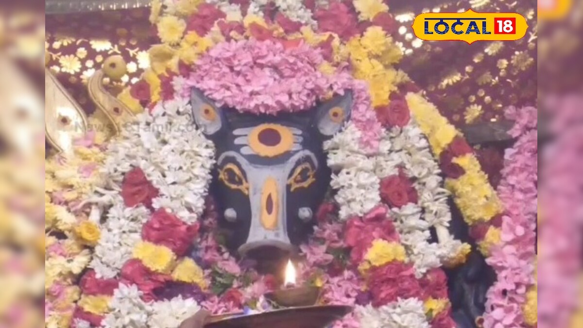 தேய்பிறை அஷ்டமி : வாராஹி அம்மனுக்கு நடைபெற்ற சிறப்பு அபிஷேகம்..!!