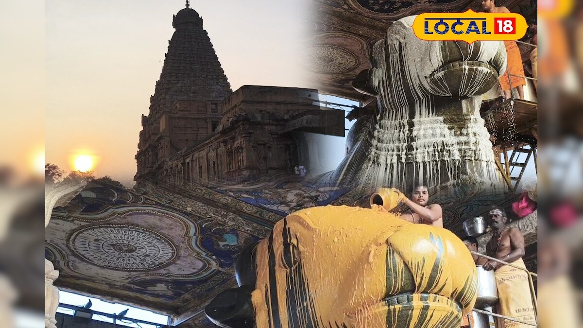 மங்கள அபிஷேகத்தில் மனம் குளிர்ந்த பக்தர்கள்... தஞ்சை பெரிய கோவிலில் தை மாத பிரதோஷம்...