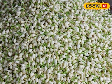 மதுரை மதுரை