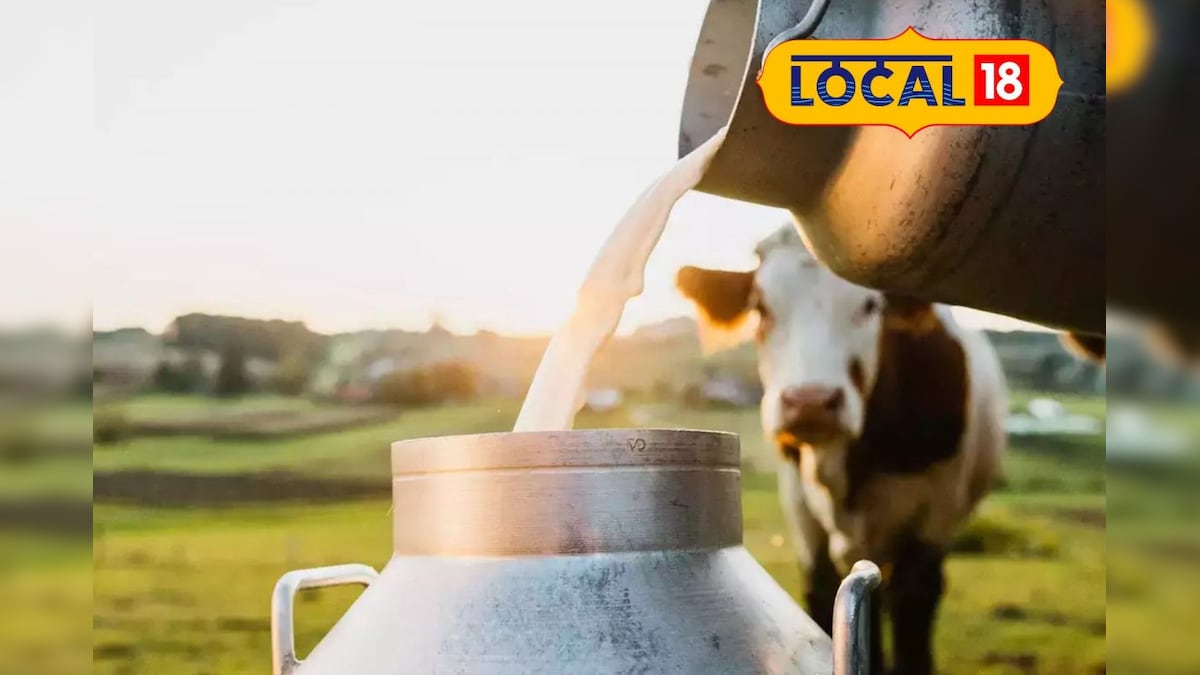 ரூ.30 லட்சம் வருமானம் - பால் விற்பனையில் கொடிகட்டி பறக்கும் மண்டியா பெண்...