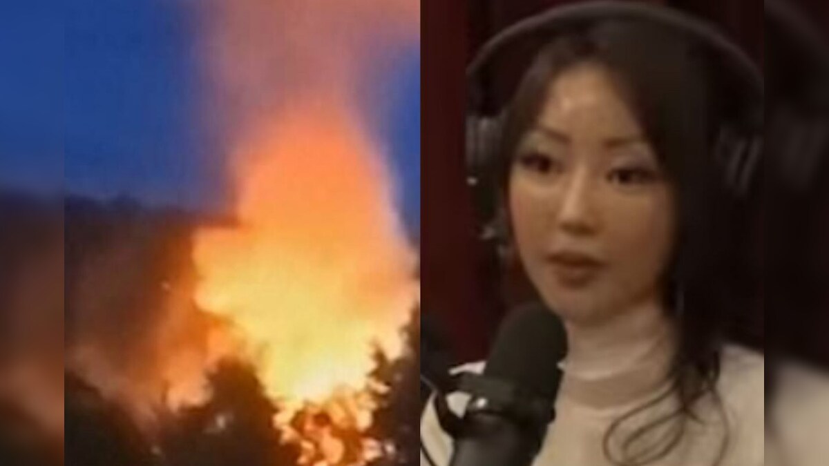 வீடு தீப்பிடித்தாலும் அந்த புகைப்படத்தை பாதுகாக்க வேண்டுமாம்...வடகொரிய பெண் வெளியிட்ட அதிர்ச்சி வீடியோ...!