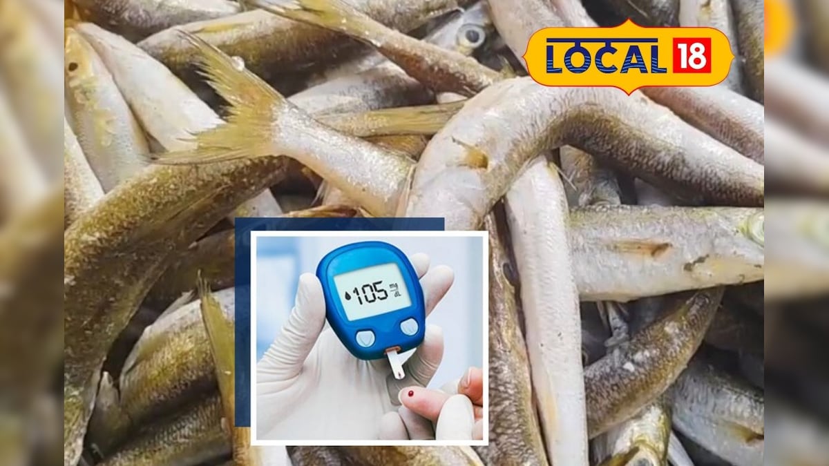 நீரிழிவு நோயாளிகளுக்கான பெஸ்ட் seafood... மாதம் இருமுறை சாப்பிட்டு பாருங்க...