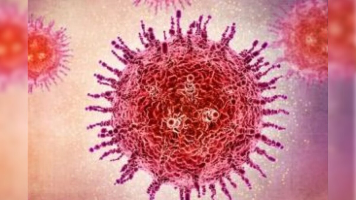 தமிழ்நாட்டில் இருவருக்கு HMPV வைரஸ் தொற்று உறுதி.. தமிழ்நாடு மருத்துவத்துறை