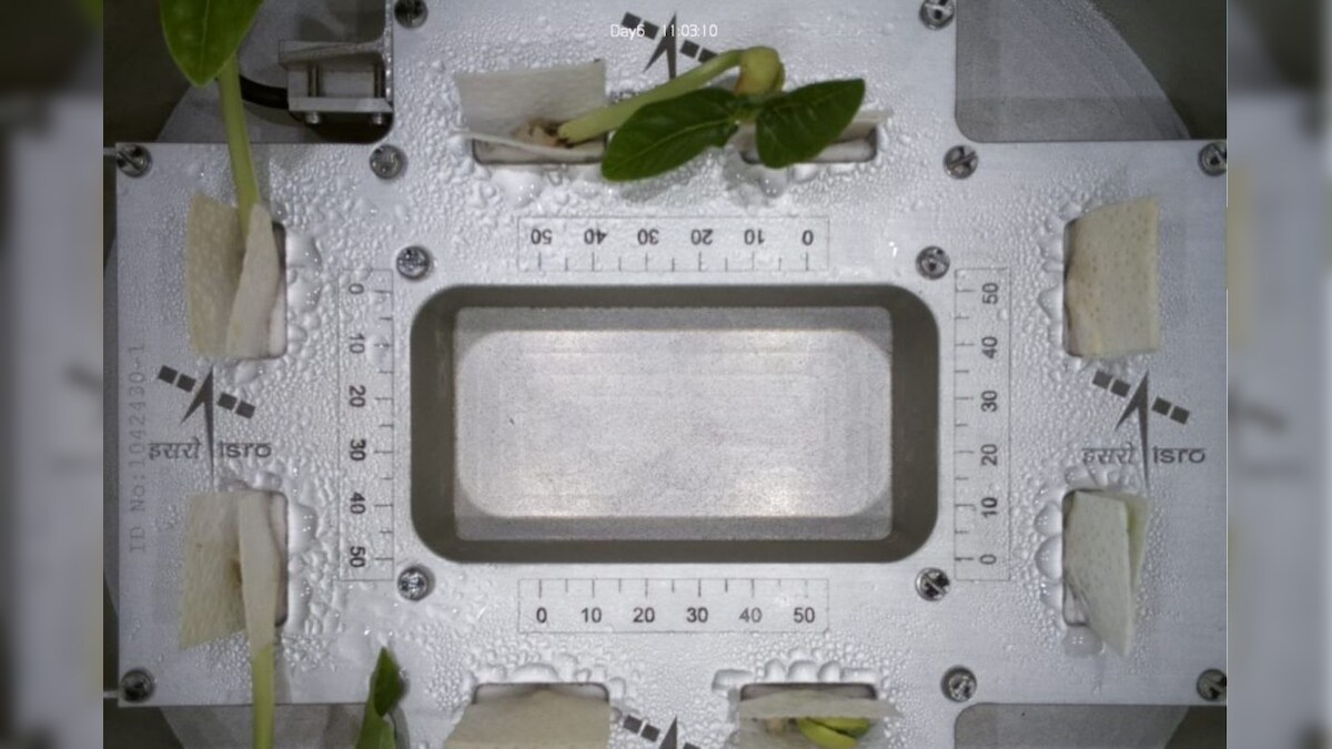இஸ்ரோவில் அசாத்திய சாதனை.. விண்வெளியில் வளர்ந்த செடி