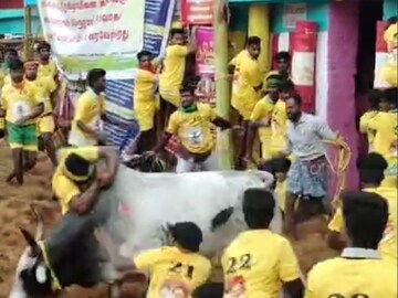 பாலமேடு ஜல்லிக்கட்டு
