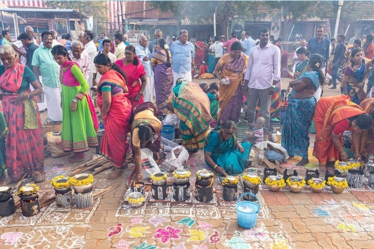 பொங்கலுக்கு இத்தனை பெயர்களா..வெவ்வேறு மாநிலங்களில் பொங்கல் கொண்டாட்டம்