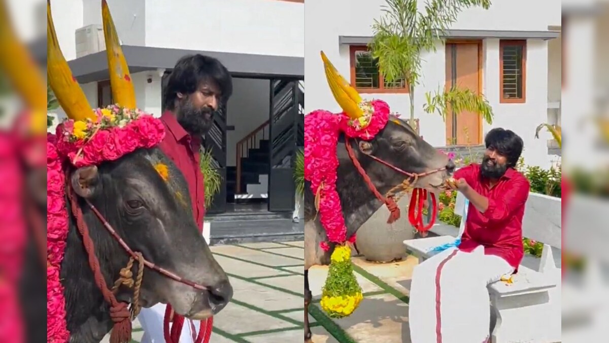 Soori |  “களத்தில் இறங்க தயார்” - தனது ஜல்லிக்கட்டு காளையுடன் மாஸ் காட்டும் சூரி!