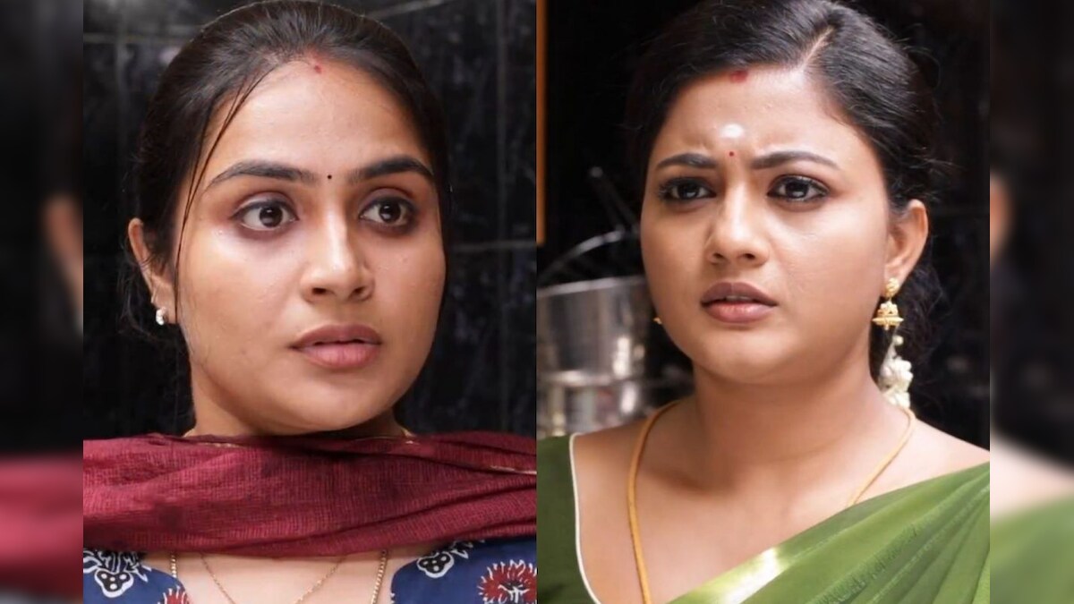 Siragadikka Aasai | மீனா சொன்ன அந்த உண்மை... முகமெல்லாம் வேர்த்து விழி பிதுங்கி நிற்கும் ரோகிணி.. சந்தேகிக்கும் முத்து..!