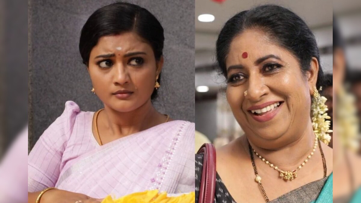 Siragadikka Aasai | டெமோ மாடலை குப்பையில் தூக்கிபோட்டு மிரட்டும் சிந்தாமணி.. சவால் விடும் மீனா..!