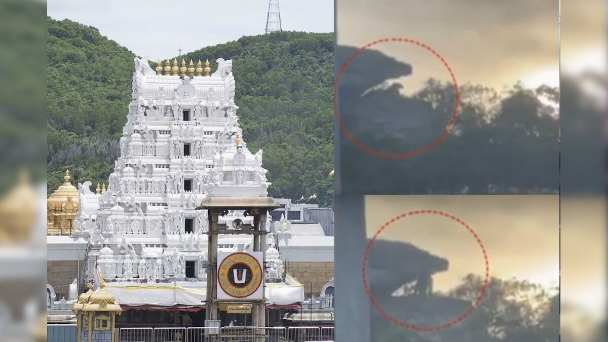 Tirumala Tirupati: திருப்பதியில் சிறுத்தை நடமாட்டமா? - பக்தர்கள் அச்சம்