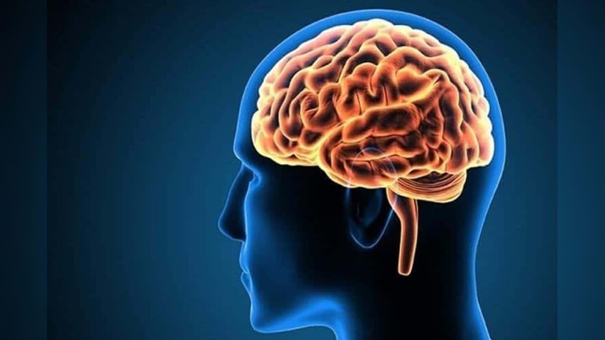 மூளைக்கு தீங்கு விளைவிக்கும் மல்டி டாஸ்கிங்.. இதை பற்றி அறிவியல் என்ன சொல்கிறது?  | லைஃப்ஸ்டைல் - News18 தமிழ்