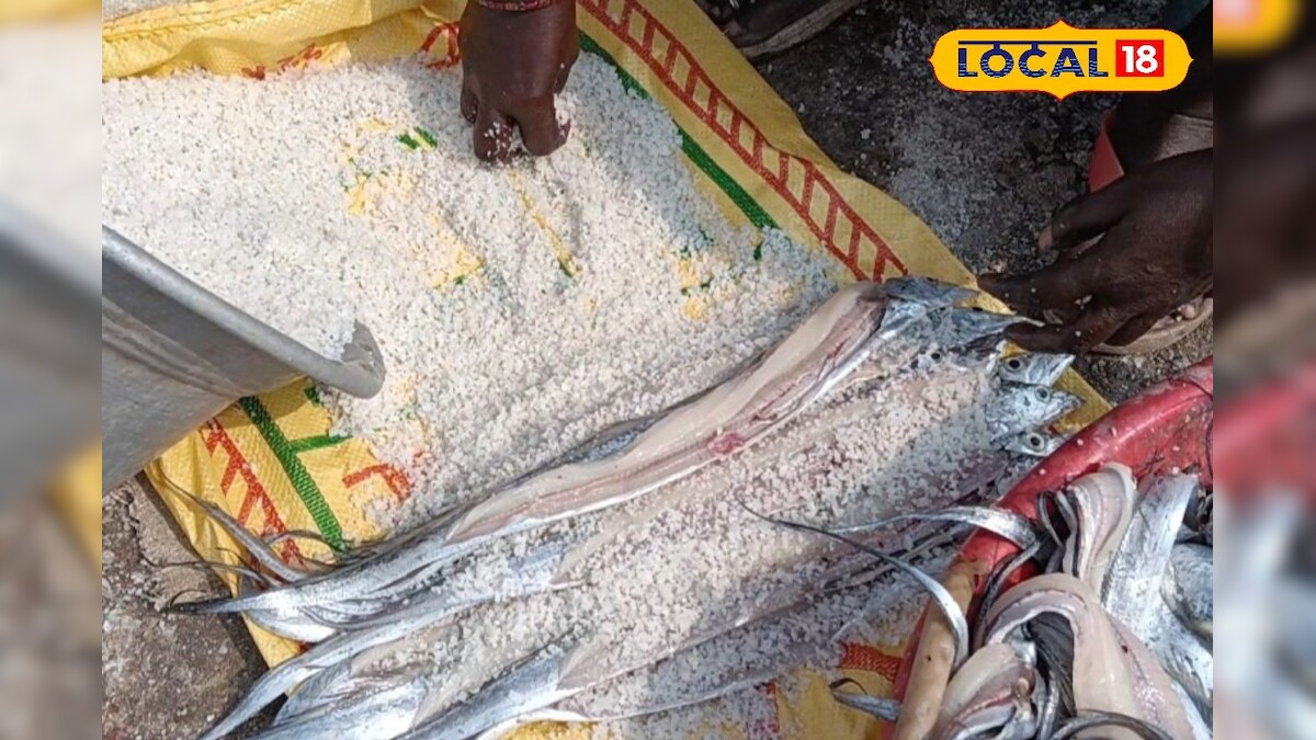 கோடைக்கு முன்பே கோலோச்சும் வெயில்.. பழையாறு கடற்கரையில் கருவாடு தயாரிக்கும் பணி மும்முரம்! - News18 தமிழ்