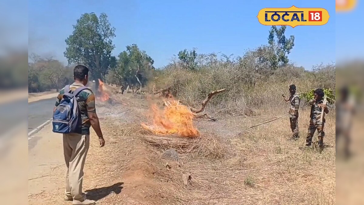 நெருங்கும் கோடை வெயில்... தீ தடுப்புப் பணியில் தீவிரமாய் இறங்கிய வனத்துறையினர்... - News18 தமிழ்