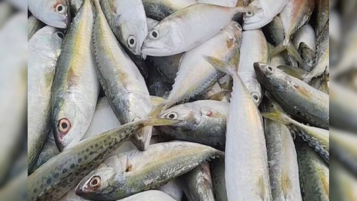 Fish | கறியை விட சுவை அதிகம்.. ரத்த அழுத்தத்தைக் கட்டுப்படுத்த இந்த ...