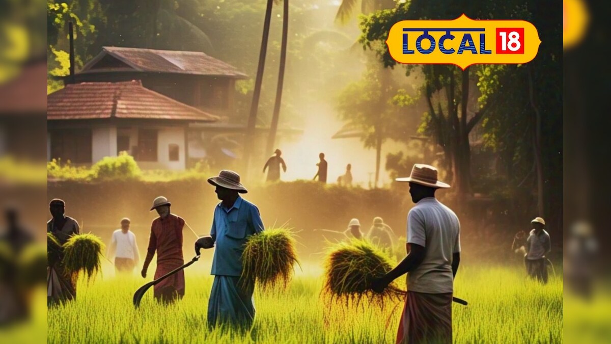 விவசாயிகளுக்கு சூப்பர் காலம் இது... யூஸ் பண்ணிக்கோங்க... முக்கிய அப்டேட் கொடுத்த  வானிலை