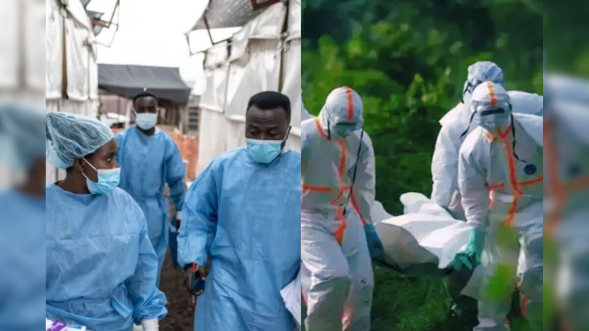 காங்கோவில் பரவும் மர்ம நோய்.. 50-க்கும் மேற்பட்டோர் பலி.. WHO எச்சரிக்கை..! - News18 தமிழ்