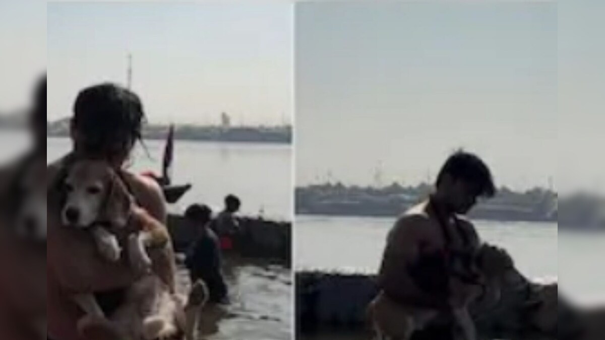 மகா கும்பமேளாவில் நாயுடன் புனித நீராடும் பக்தர்... வைரலாகும் வீடியோ...! - News18 தமிழ்