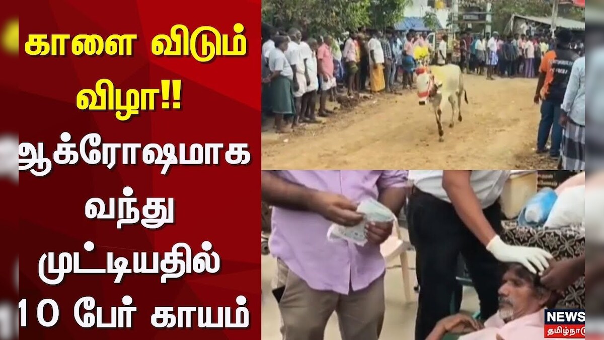 Arani | காளை விடும் விழா - ஆக்ரோஷமாக வந்து முட்டியதில் 10 பேர் காயம் | News18 Tamil Nadu
