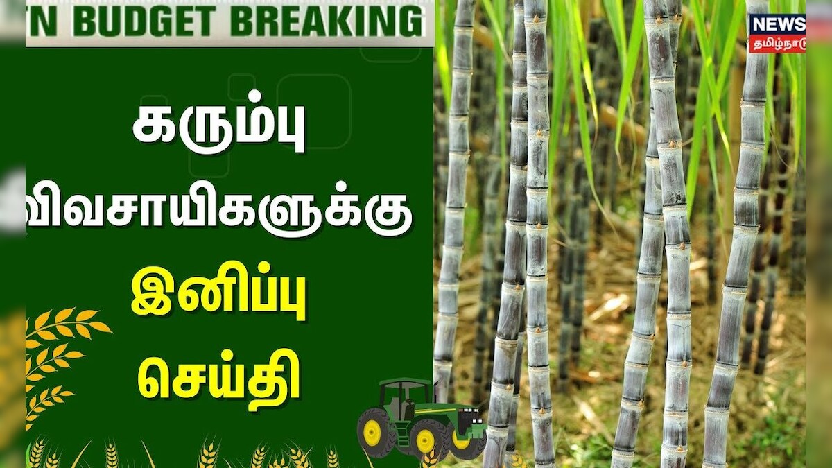 Tamil Nadu Agri Budget 2025 | கரும்பு விவசாயிகளுக்கு இனிப்பு செய்தி | MRK Panneerselvam