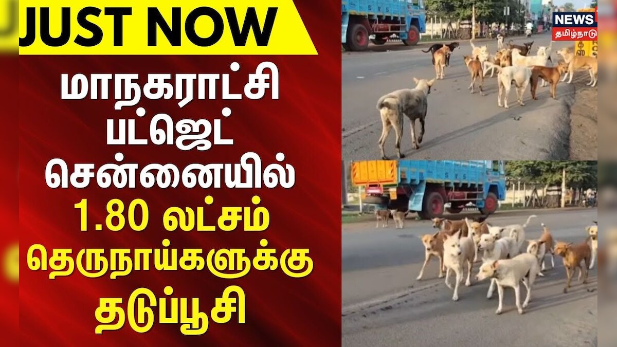Just Now | மாநகராட்சி பட்ஜெட் - சென்னையில் 1.80 லட்சம் தெருநாய்களுக்கு தடுப்பூசி | Tamil Nadu Govt