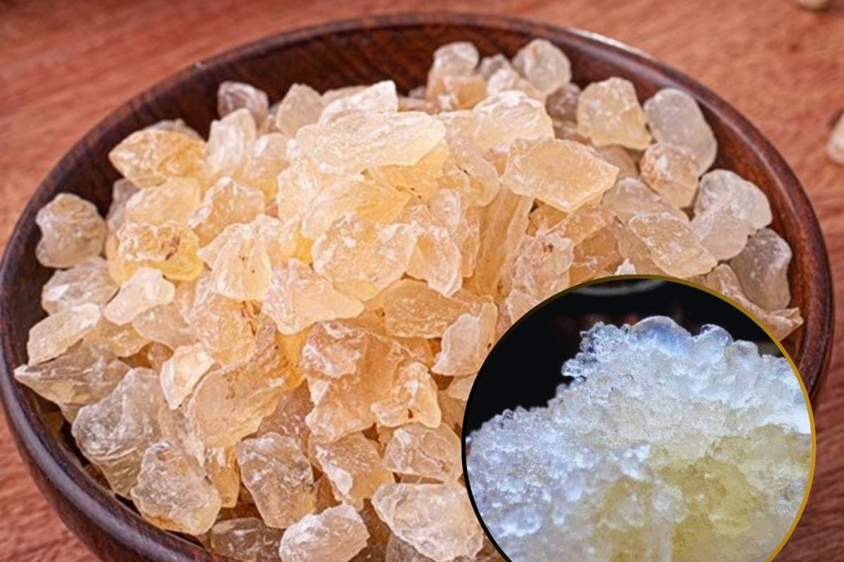 Badam Pisin: கோடையில் உடல் சூட்டை சட்டுனு கூலாக்க இந்த ஒரு பொருள் போதும்!