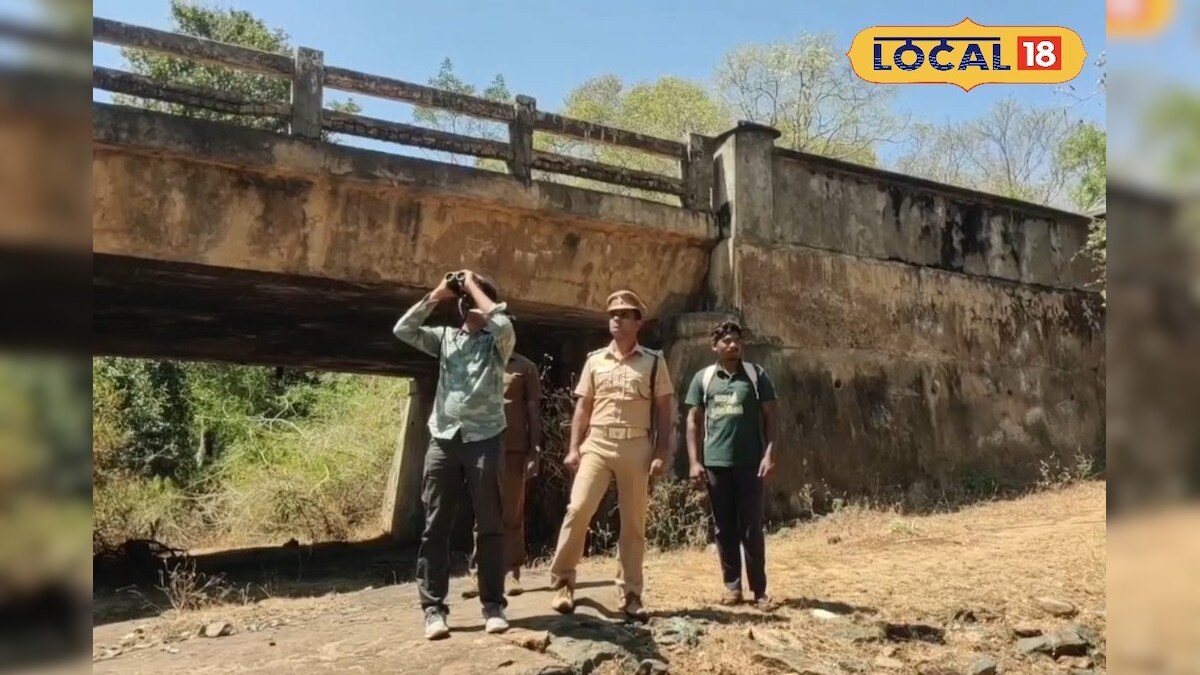 Paru Kazhugu: வனத்தின் தூய்மைக் காவலன்... பாறு கழுகுகளைக் கணக்கெடுக்கும் பணியில் 78 பேர்.. - News18 தமிழ்