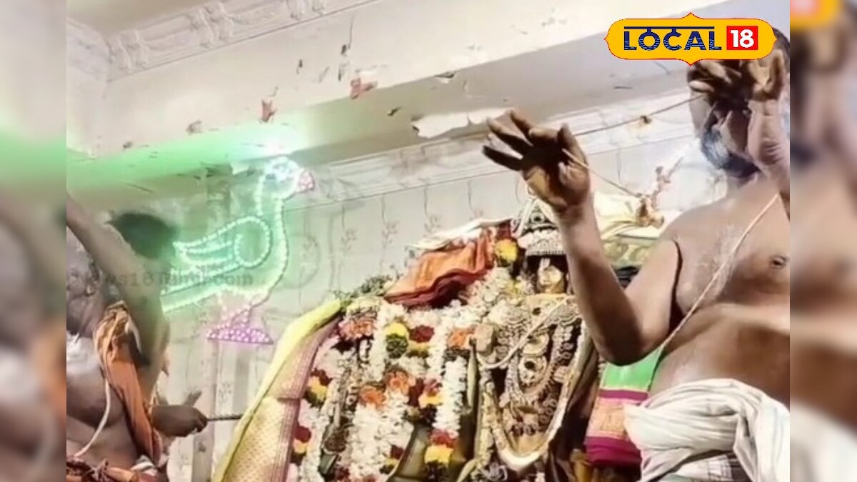 கோவிந்தா கோஷத்துடன் நடைபெற்ற ஸ்ரீனிவாச பெருமாள் திருக்கல்யாண வைபவம்...!! - News18 தமிழ்