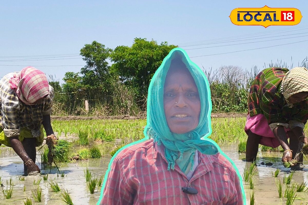 இங்கு யார்‌ விவசாயி..? பெண்‌ விவசாய தொழிலாளர்களுக்கு நடக்கும் நீதிகளும்... ஏக்கங்களும்..!  - News18 தமிழ்
