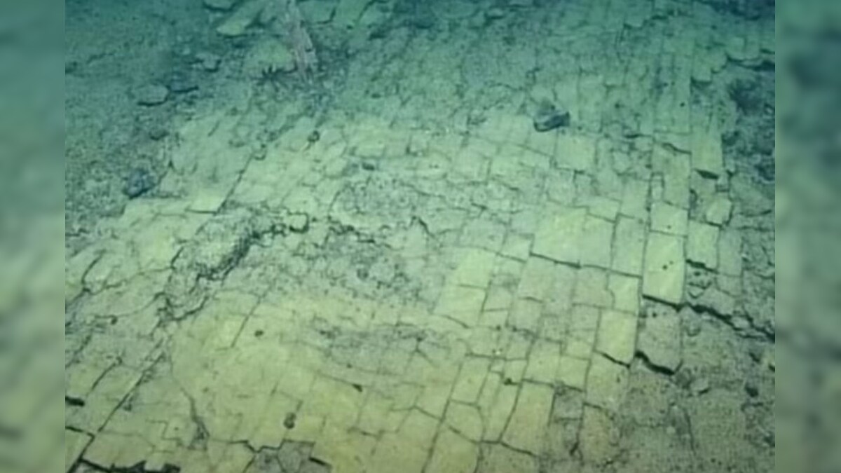 ஆழ்கடலில் மஞ்சள் நிறத்தில் செங்கல் சாலை.. விஞ்ஞானிகள் ஆச்சரியம்! - News18 தமிழ்