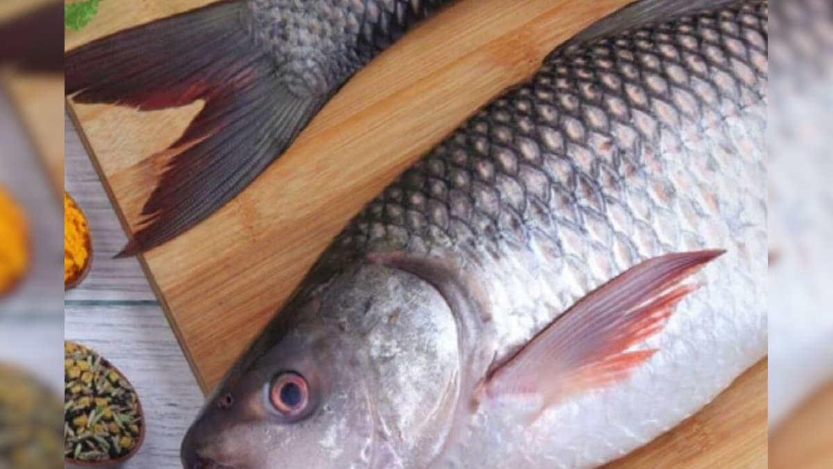 ஊட்டச்சத்துக்களின் களஞ்சியமாக இருக்கும் இந்த மீன் பற்றிய உங்களுக்கு தெரியுமா..? ஒரு துண்டு சாப்பிட்டாலே அவ்வளவு சத்து.!