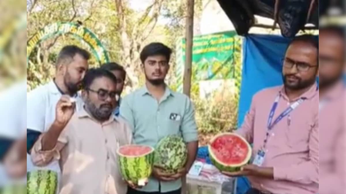 தர்பூசணி வாங்குறீங்களா.. கவனம் தேவை.. ரசாயனம் கலந்த 6 டன் தர்பூசணிகள் பறிமுதல்! - News18 தமிழ்