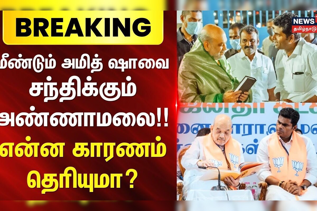 BJP Annamalai | மீண்டும் அமித் ஷாவை சந்திக்கும் அண்ணாமலை!! - என்ன காரணம் தெரியுமா? | Amit Shah