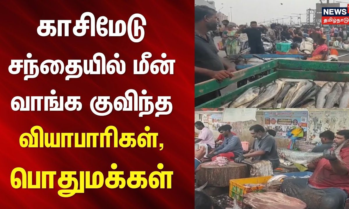 காசிமேடு சந்தையில் மீன் வாங்க குவிந்த வியாபாரிகள், பொதுமக்கள் | Kasimedu Fish Market