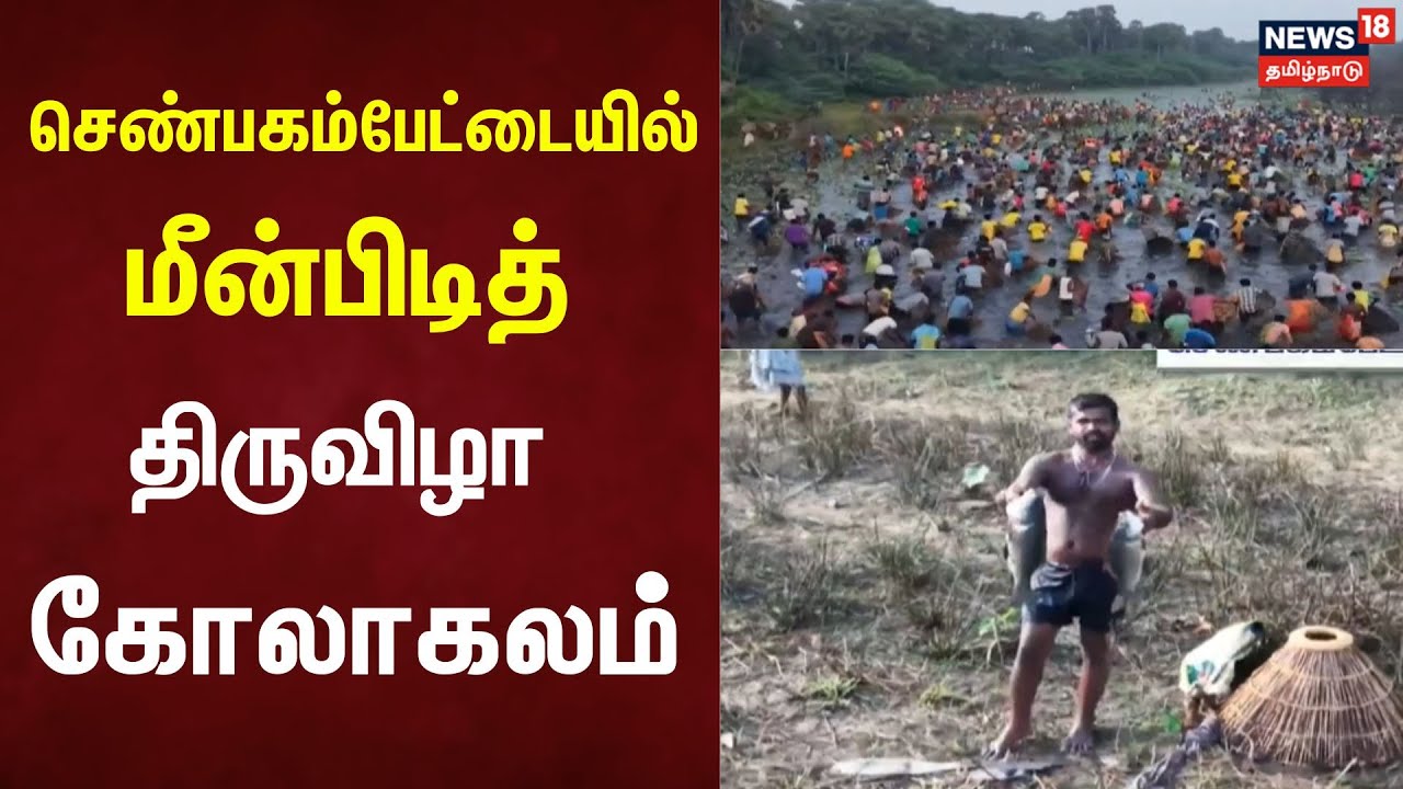 Tirupathur Fish Festival | திருப்பத்தூர் அருகே செண்பகம்பேட்டையில் மீன்பிடித் திருவிழா கோலாகலம்