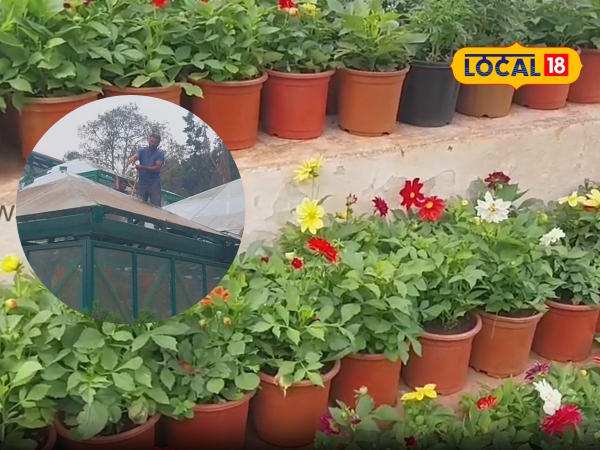 பூவ பூவ பூவ பூவ பூவே... மயக்கும் மலர்கள்... மலர் கண்காட்சிக்கு ரெடியாகும் மலைகளின் அரசி... - News18 தமிழ்