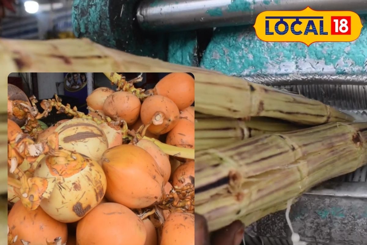 செங்கரும்பில் சுவையான கரும்புச்சாறு... வெயிலுக்கு இதமாக இளநீர்... சூடுபிடிக்கும் விற்பனை.. - News18 தமிழ்